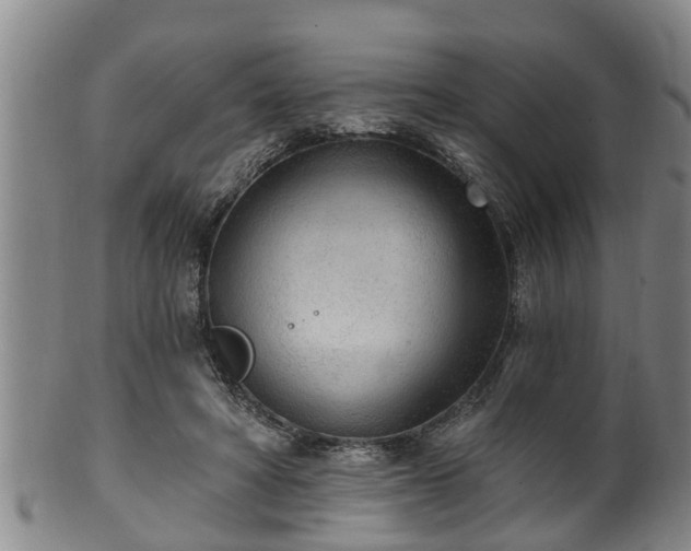 X0000100870402200806271118