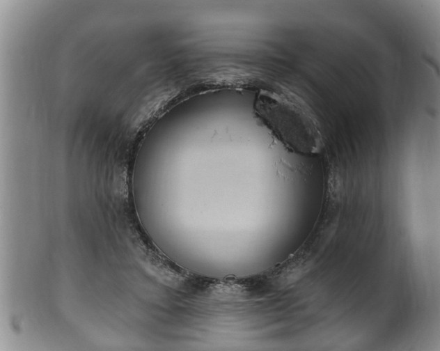 X0000100870403200806271118