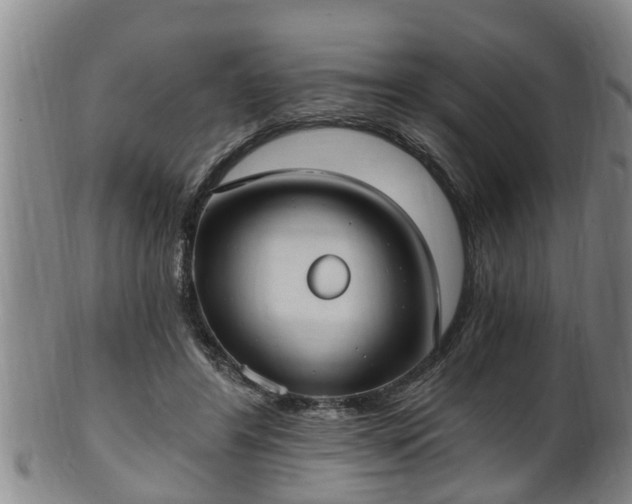 X0000100870404200806271118