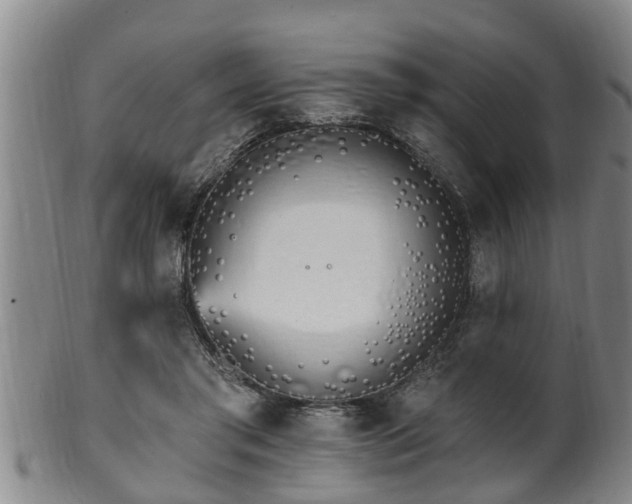 X0000100870405200806271118