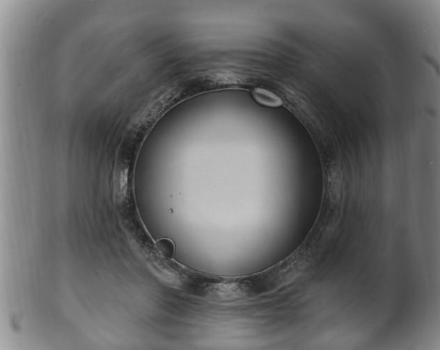 X0000100870406200806271118