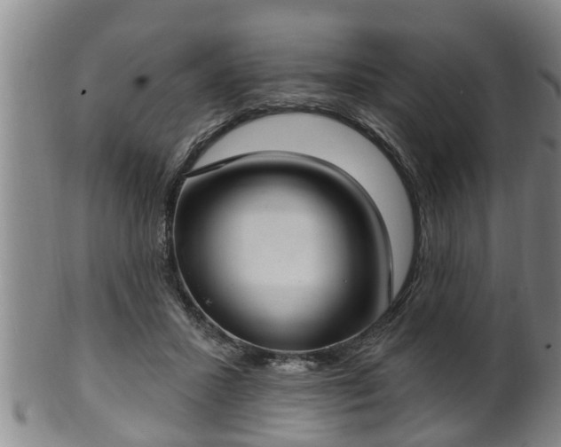 X0000100870407200806271118