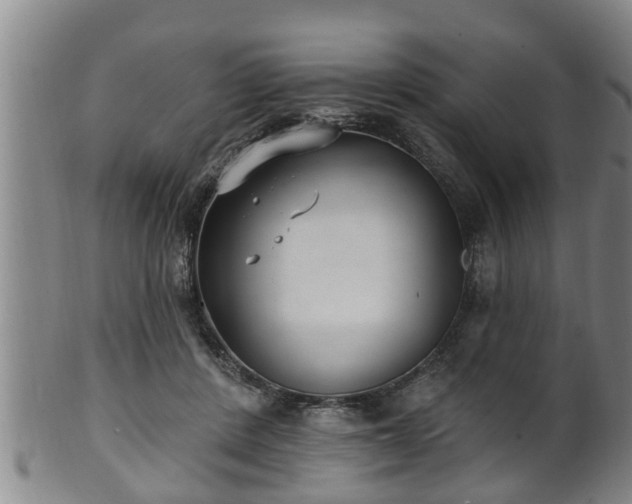 X0000100870408200806271118