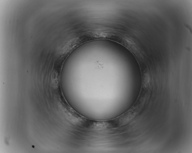 X0000100870414200806271118