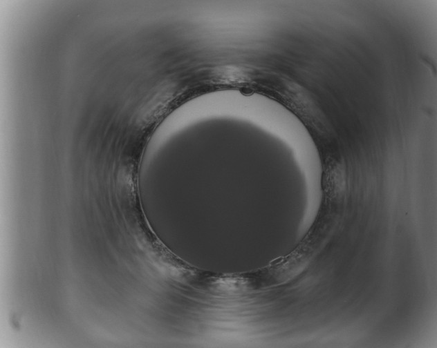 X0000100870415200806271118