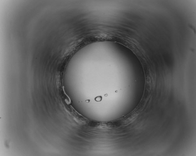 X0000100870416200806271118