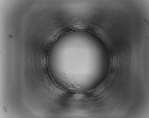 X0000100870418200806271118