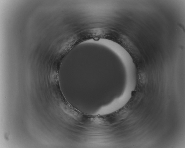 X0000100870419200806271118