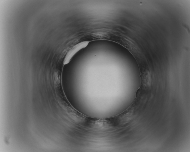 X0000100870420200806271118