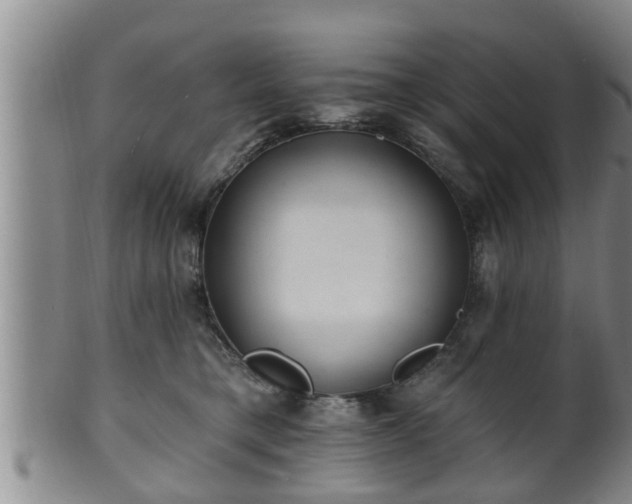 X0000100870421200806271118