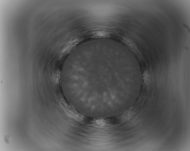 X0000100870423200806271117