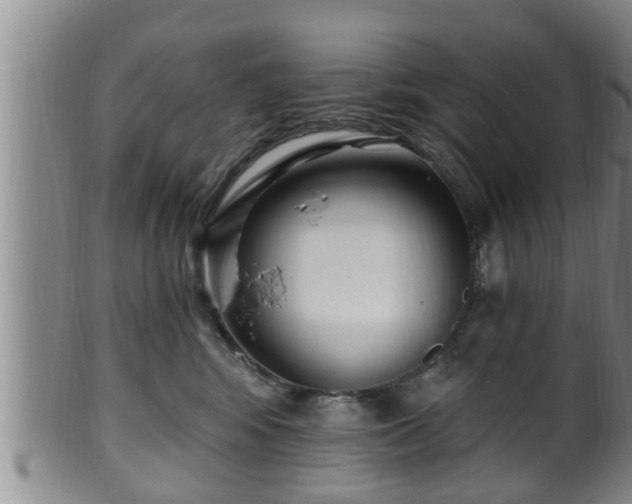 X0000100870424200806271117