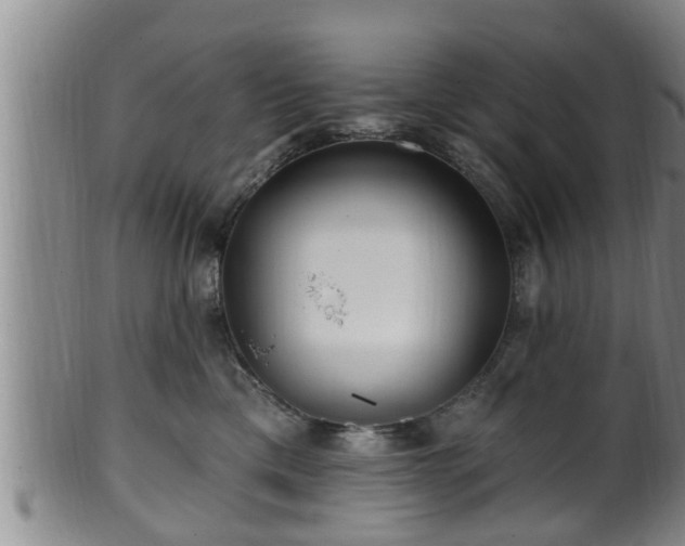 X0000100870425200806271117