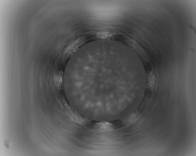 X0000100870427200806271117