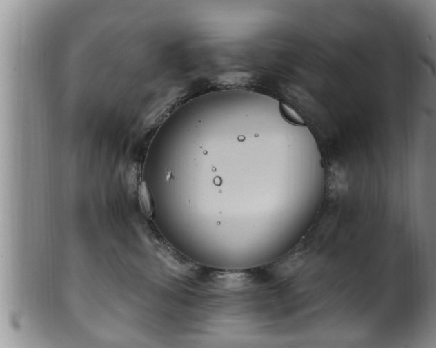 X0000100870428200806271117