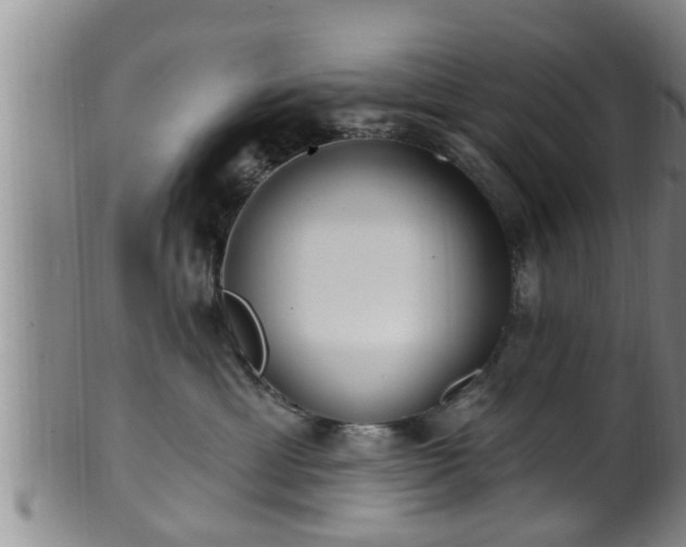 X0000100870429200806271117