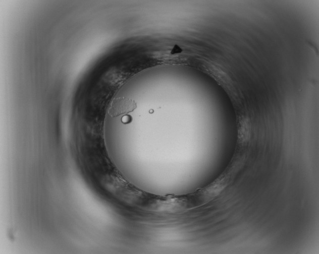 X0000100870430200806271117