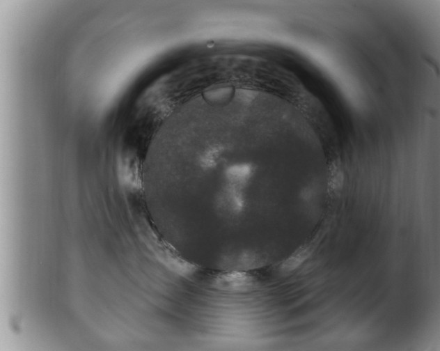 X0000100870431200806271117