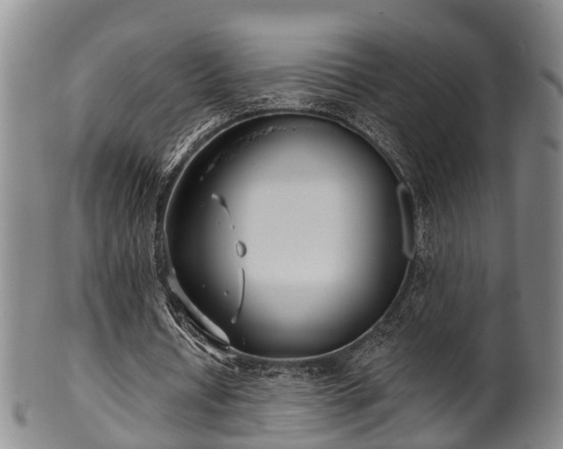 X0000100870434200806271117