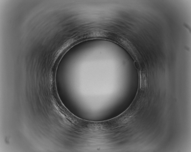 X0000100870435200806271117