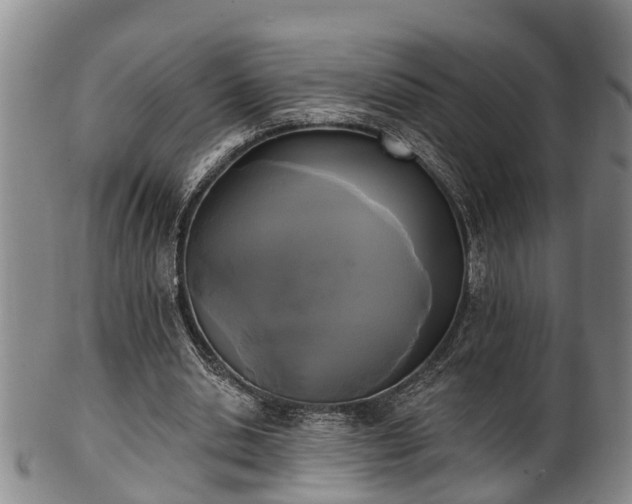 X0000100870438200806271117