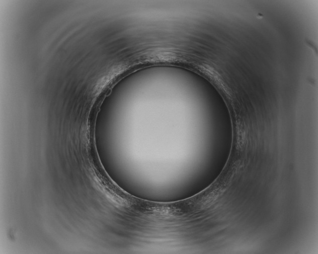 X0000100870439200806271117