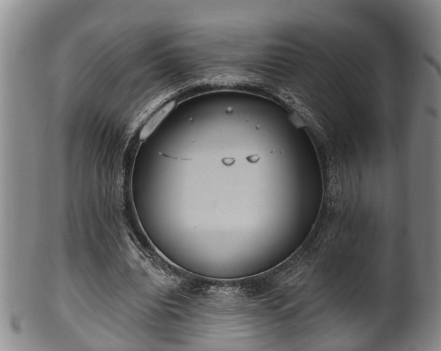 X0000100870440200806271117