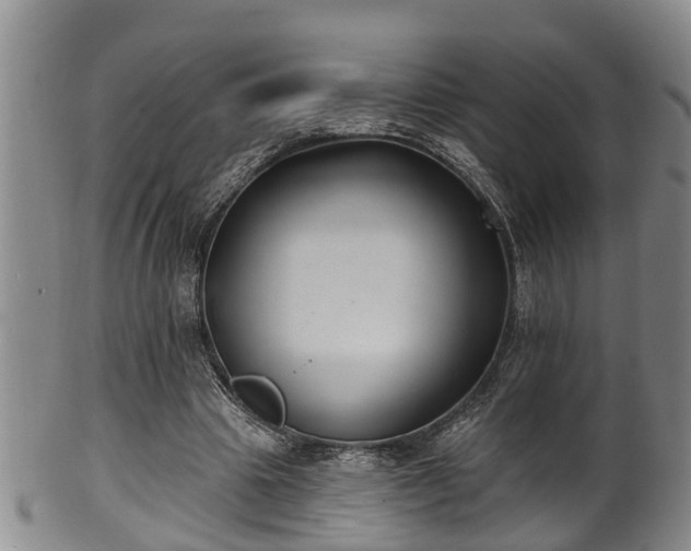 X0000100870441200806271117