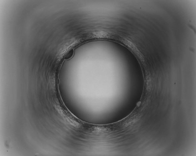 X0000100870442200806271117