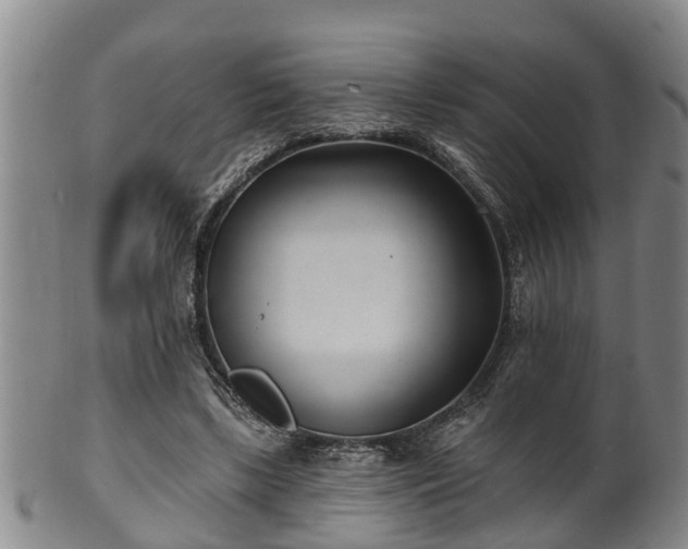 X0000100870443200806271117