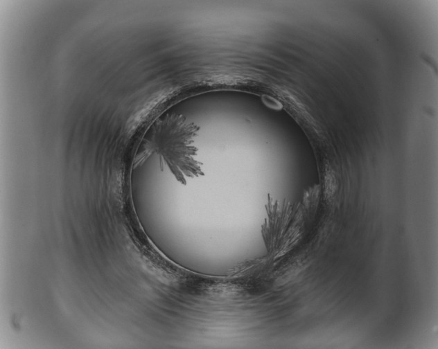 X0000100870444200806271117