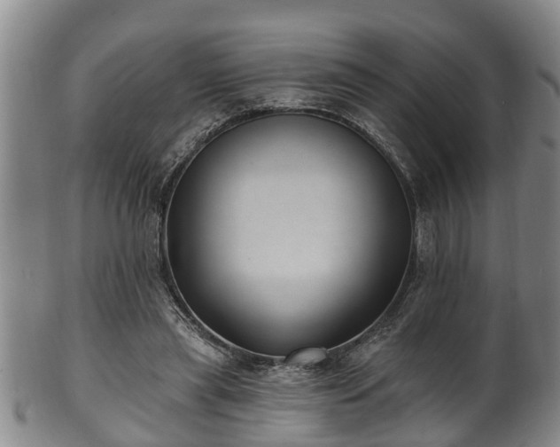 X0000100870445200806271117