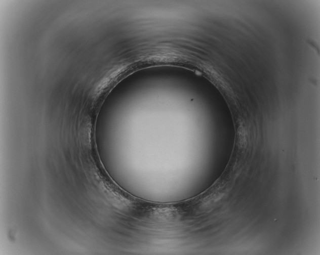 X0000100870446200806271117