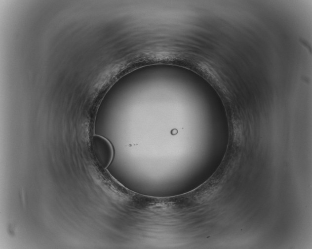 X0000100870447200806271117