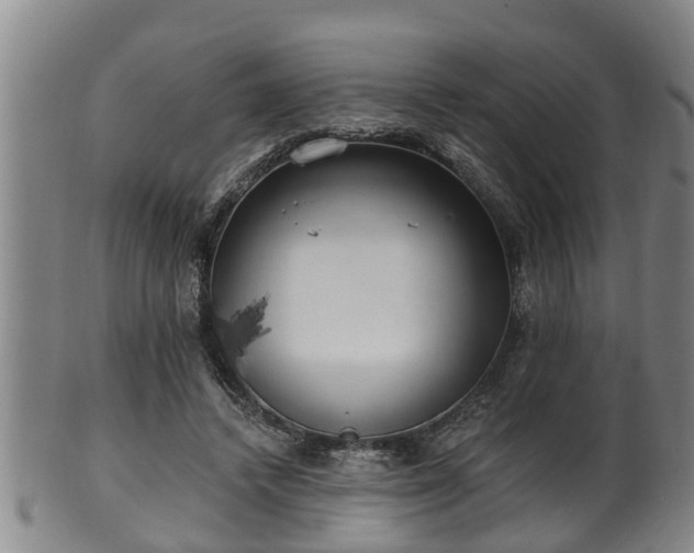 X0000100870448200806271117