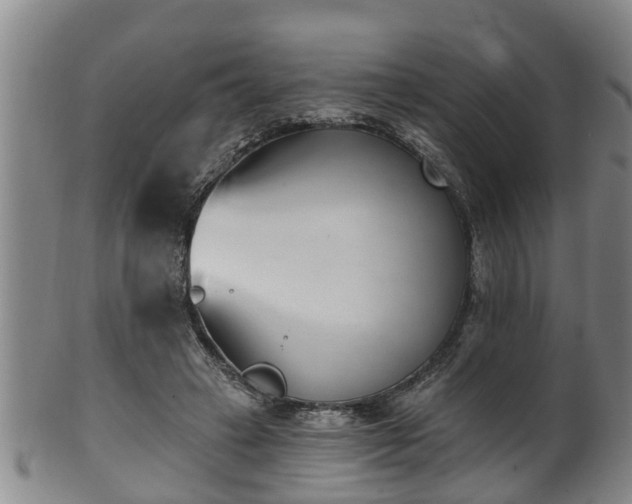 X0000100870449200806271117