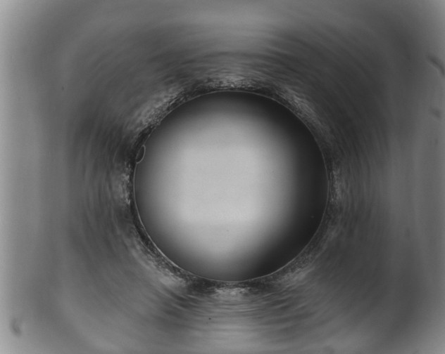 X0000100870450200806271117