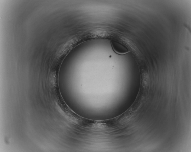 X0000100870451200806271117