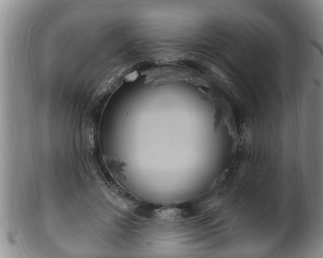 X0000100870452200806271117