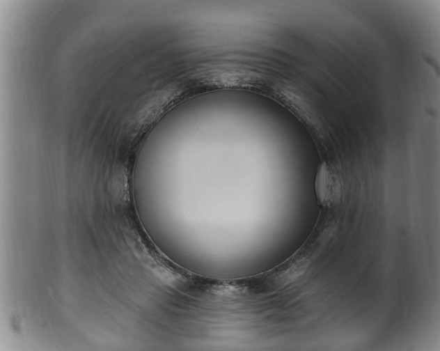 X0000100870453200806271117