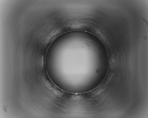 X0000100870454200806271117