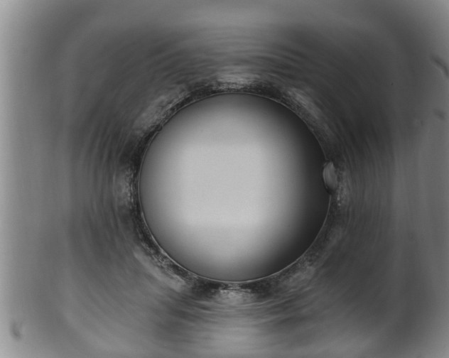 X0000100870455200806271117