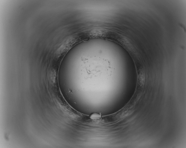 X0000100870458200806271117