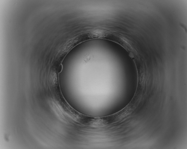 X0000100870459200806271117