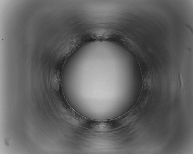 X0000100870460200806271117