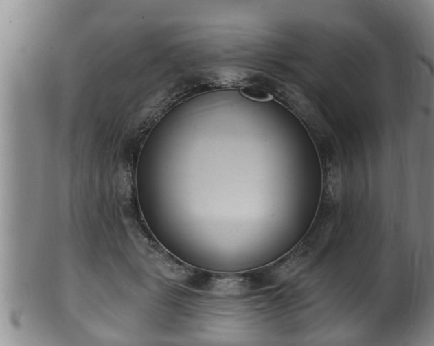 X0000100870461200806271117