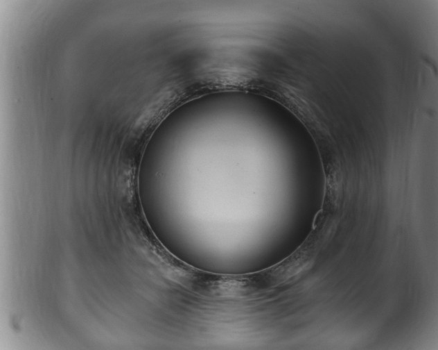 X0000100870462200806271117