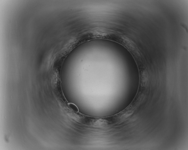 X0000100870463200806271117