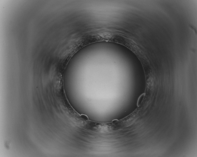 X0000100870464200806271117