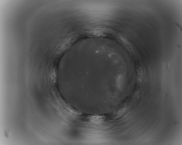 X0000100870465200806271117